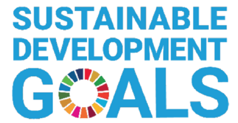 Sustainable Development Goals Logo