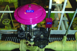 Pink Capped SPV