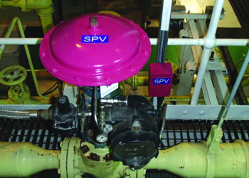 Pink Capped SPV