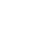 Inspection Icon